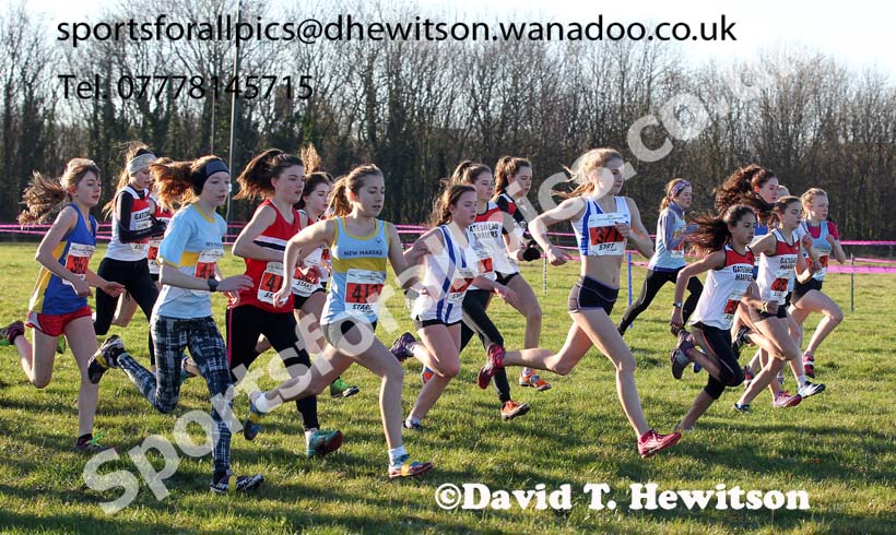 Girls under-15s North Eastern Cross Country Chanpionships. Photo: David T. Hewitson/Sports for All Pics